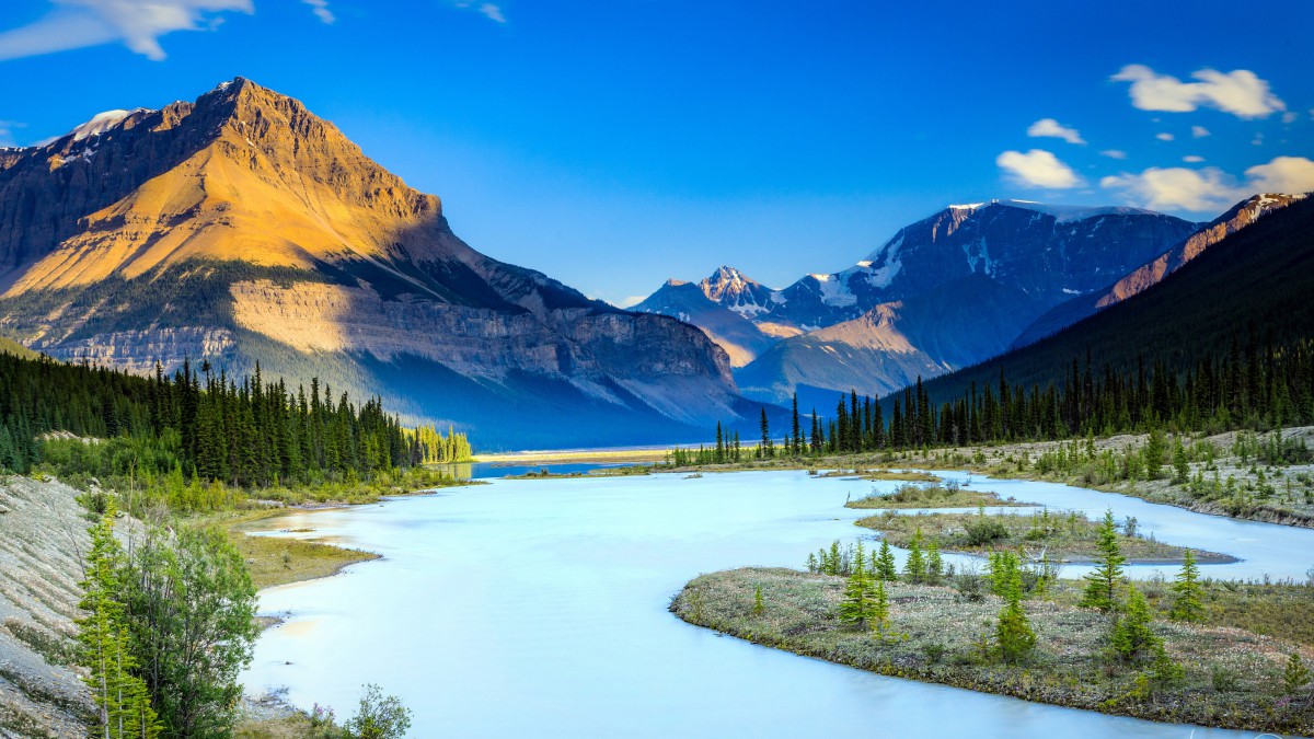 人工湿地技术处理高盐工业废水的研究及应用综述